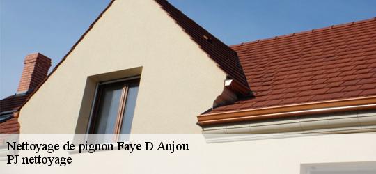 Nettoyage de pignon  faye-d-anjou-49380 PJ nettoyage