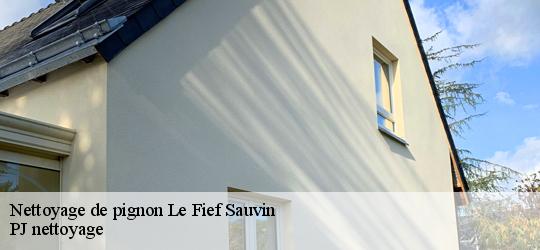 Nettoyage de pignon  le-fief-sauvin-49600 PJ nettoyage