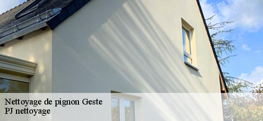 Nettoyage de pignon geste-49600 PJ nettoyage