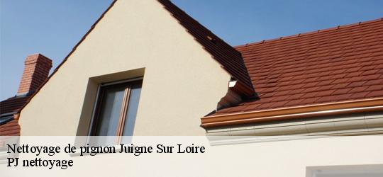 Nettoyage de pignon  juigne-sur-loire-49610 PJ nettoyage