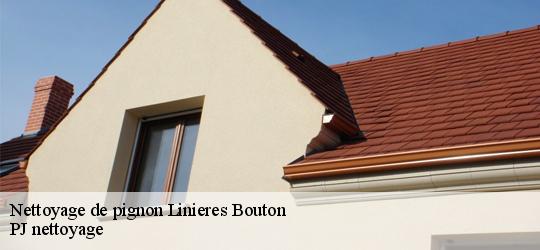 Nettoyage de pignon  linieres-bouton-49490 PJ nettoyage