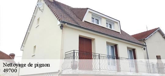 Nettoyage de pignon louresse-rochemenier-49700 PJ nettoyage