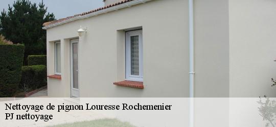 Nettoyage de pignon louresse-rochemenier-49700 PJ nettoyage