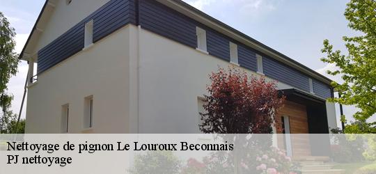 Nettoyage de pignon  le-louroux-beconnais-49370 PJ nettoyage