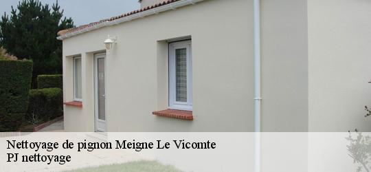 Nettoyage de pignon  meigne-le-vicomte-49490 PJ nettoyage