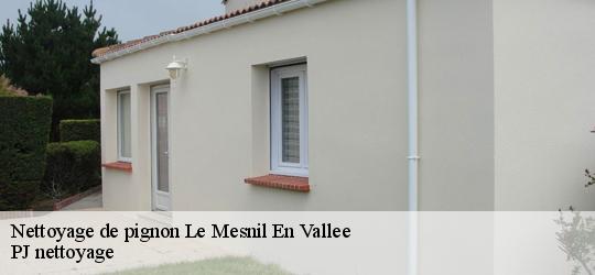 Nettoyage de pignon  le-mesnil-en-vallee-49410 PJ nettoyage
