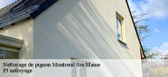 Nettoyage de pignon montreuil-sur-maine-49220 PJ nettoyage