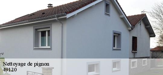 Nettoyage de pignon neuvy-en-mauges-49120 PJ nettoyage