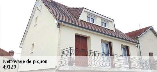 Nettoyage de pignon neuvy-en-mauges-49120 PJ nettoyage