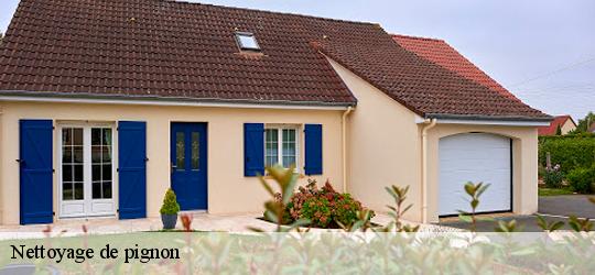 Nettoyage de pignon neuvy-en-mauges-49120 PJ nettoyage