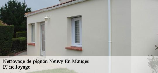 Nettoyage de pignon neuvy-en-mauges-49120 PJ nettoyage
