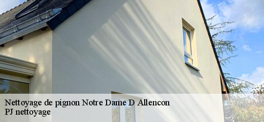 Nettoyage de pignon notre-dame-d-allencon-49380 PJ nettoyage