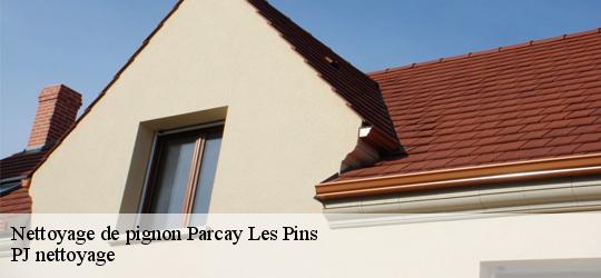 Nettoyage de pignon  parcay-les-pins-49390 PJ nettoyage