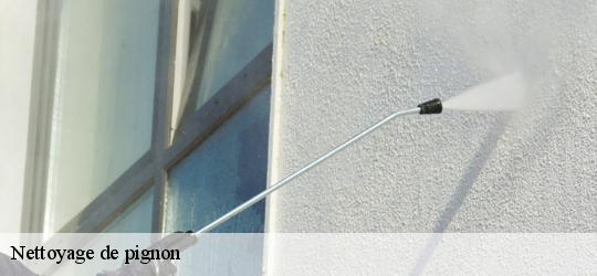 Nettoyage de pignon rou-marson-49400 PJ nettoyage