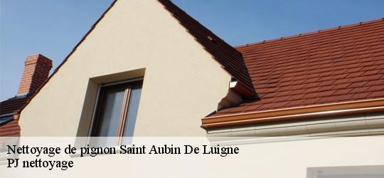 Nettoyage de pignon  saint-aubin-de-luigne-49190 PJ nettoyage