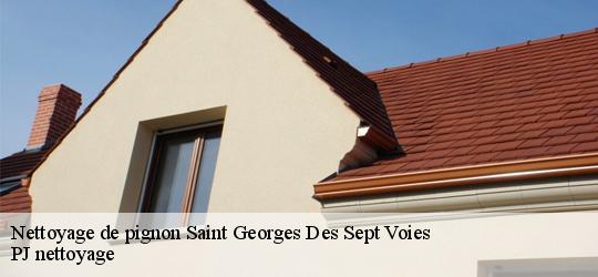 Nettoyage de pignon  saint-georges-des-sept-voies-49350 PJ nettoyage