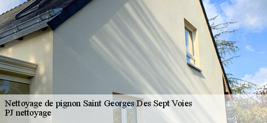 Nettoyage de pignon saint-georges-des-sept-voies-49350 PJ nettoyage