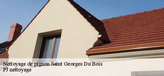 Nettoyage de pignon  saint-georges-du-bois-49250 PJ nettoyage