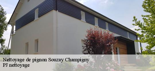 Nettoyage de pignon  souzay-champigny-49400 PJ nettoyage