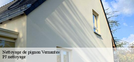 Nettoyage de pignon vernantes-49390 PJ nettoyage