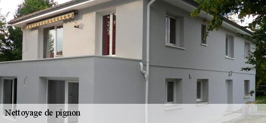 Nettoyage de pignon vernantes-49390 PJ nettoyage