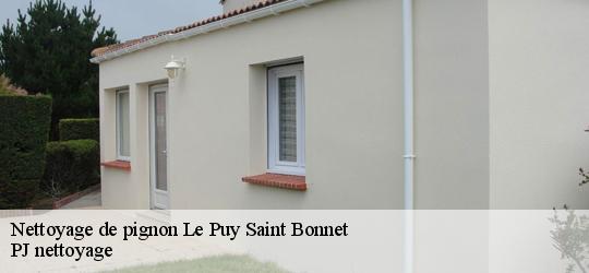Nettoyage de pignon le-puy-saint-bonnet-49300 PJ nettoyage