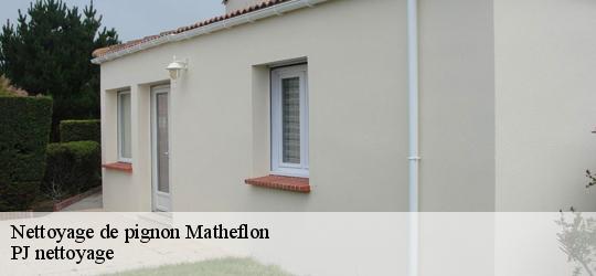 Nettoyage de pignon  matheflon-49140 PJ nettoyage