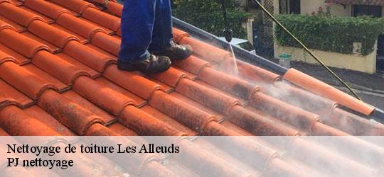 Nettoyage de toiture  les-alleuds-49320 PJ nettoyage