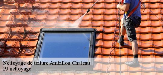 Nettoyage de toiture  ambillou-chateau-49700 PJ nettoyage