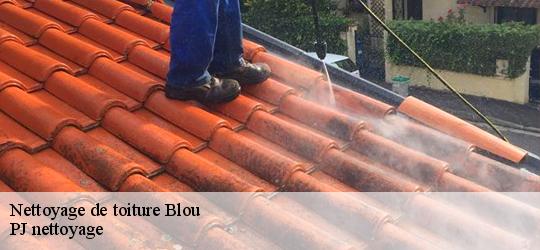 Nettoyage de toiture  blou-49160 PJ nettoyage
