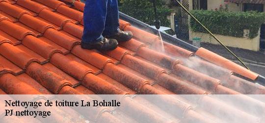 Nettoyage de toiture  la-bohalle-49800 PJ nettoyage