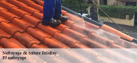 Nettoyage de toiture  briollay-49125 PJ nettoyage