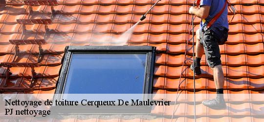 Nettoyage de toiture  cerqueux-de-maulevrier-49360 PJ nettoyage