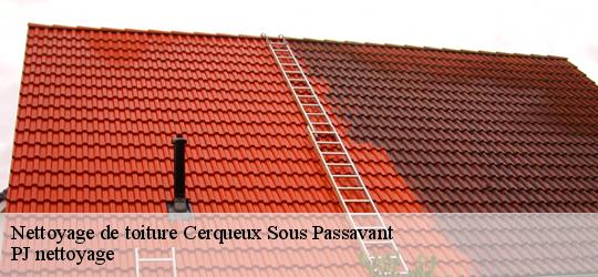 Nettoyage de toiture  cerqueux-sous-passavant-49310 PJ nettoyage