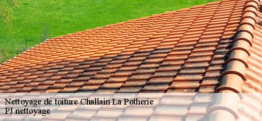 Nettoyage de toiture  challain-la-potherie-49440 PJ nettoyage