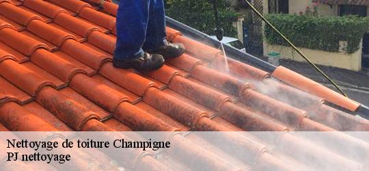 Nettoyage de toiture  champigne-49330 PJ nettoyage