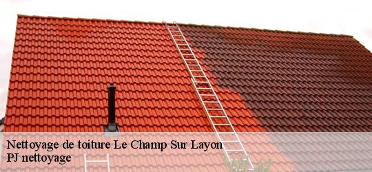 Nettoyage de toiture  le-champ-sur-layon-49380 PJ nettoyage