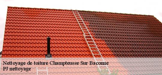 Nettoyage de toiture  champteusse-sur-baconne-49220 PJ nettoyage