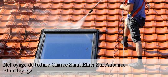 Nettoyage de toiture  charce-saint-ellier-sur-aubance-49320 PJ nettoyage