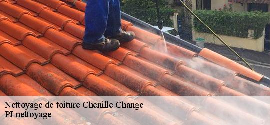 Nettoyage de toiture  chenille-change-49220 PJ nettoyage