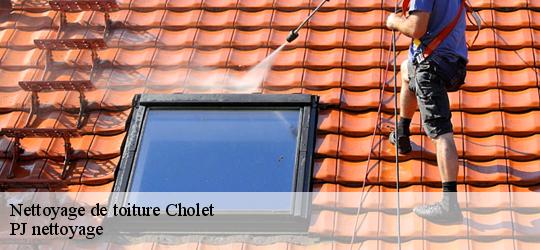 Nettoyage de toiture  cholet-49300 PJ nettoyage