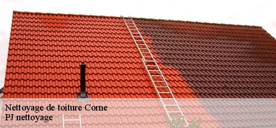 Nettoyage de toiture  corne-49250 PJ nettoyage