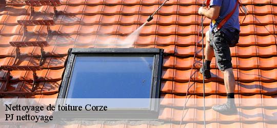 Nettoyage de toiture  corze-49140 PJ nettoyage