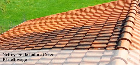 Nettoyage de toiture corze-49140 PJ nettoyage
