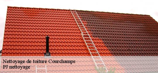 Nettoyage de toiture  courchamps-49260 PJ nettoyage