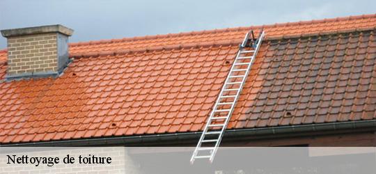 Nettoyage de toiture coutures-49320 PJ nettoyage