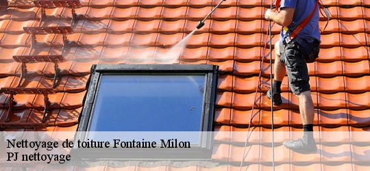 Nettoyage de toiture  fontaine-milon-49140 PJ nettoyage