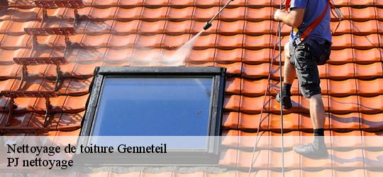 Nettoyage de toiture  genneteil-49490 PJ nettoyage