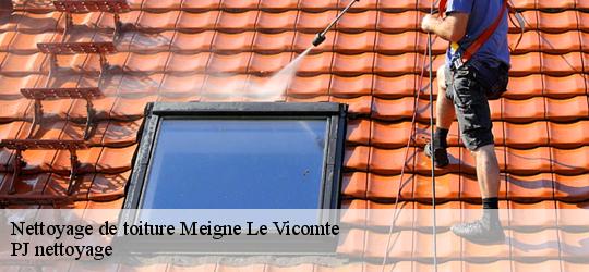 Nettoyage de toiture  meigne-le-vicomte-49490 PJ nettoyage