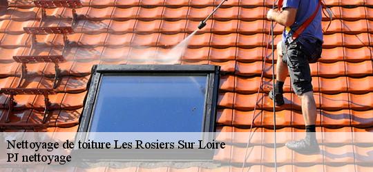 Nettoyage de toiture  les-rosiers-sur-loire-49350 PJ nettoyage